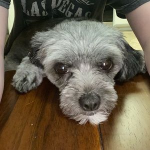 Meet your Posher, Jamie